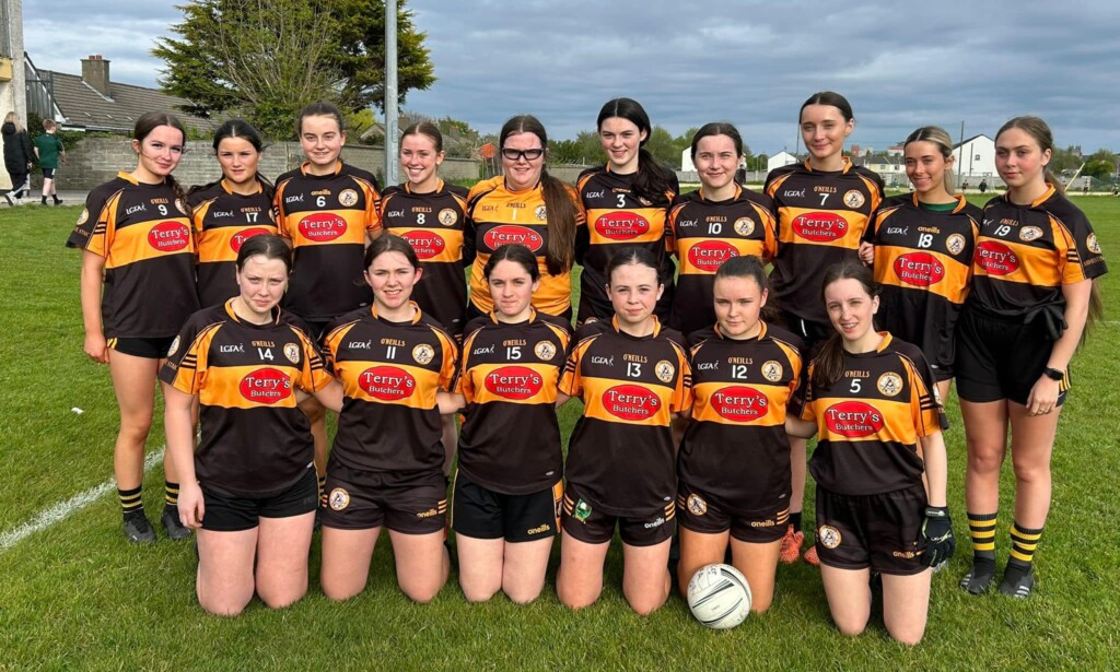Austin Stacks Ladies Club Notes 14th May, 2024.