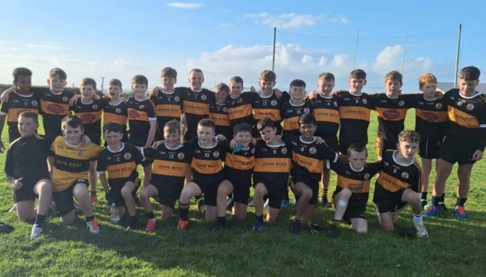 Austin Stacks GAA – Hurling & Football Club